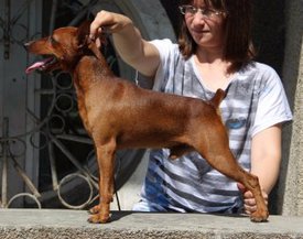 115.jpg (29.73 КБ, Просмотров: 13742) 115.jpg