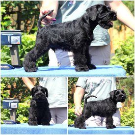 IMG_20210809_100837_837.jpg (156.08 КБ, Просмотров: 2528) IMG_20210809_100837_837.jpg