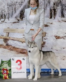 E6A6979D-8723-4B3B-B63C-83E92F179E49.jpeg (40.98 КБ, Просмотров: 2426) E6A6979D-8723-4B3B-B63C-83E92F179E49.jpeg