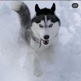 C19D556C-4E77-40E7-A3CF-797E977205B2.jpeg (25.1 КБ, Просмотров: 2426) C19D556C-4E77-40E7-A3CF-797E977205B2.jpeg