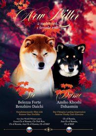 WhatsApp Image 2021-09-10 at 20.30.15.jpeg (286.5 КБ, Просмотров: 2529) WhatsApp Image 2021-09-10 at 20.30.15.jpeg