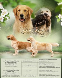 Макет_cr1.jpg (143.19 КБ, Просмотров: 2459) Макет_cr1.jpg