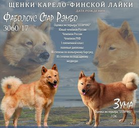 IMG_20211014_110946.jpg (293.28 КБ, Просмотров: 6225) IMG_20211014_110946.jpg