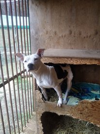 16363420884477.jpg (204.66 КБ, Просмотров: 16283) 16363420884477.jpg