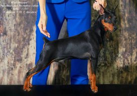 1А.jpg (112.08 КБ, Просмотров: 15702) 1А.jpg