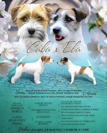 FB_IMG_1650506323569.jpg (80.26 КБ, Просмотров: 8518) FB_IMG_1650506323569.jpg