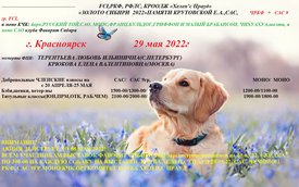 Dog-dogs-39667330-1440-900.jpg (400.79 КБ, Просмотров: 10332) Dog-dogs-39667330-1440-900.jpg