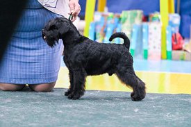 FB_IMG_1647048216082.jpg (66.87 КБ, Просмотров: 10078) FB_IMG_1647048216082.jpg