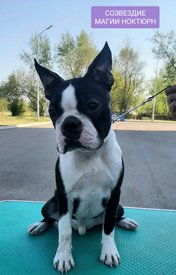 IMG-20220514-WA0016.jpg (181.63 КБ, Просмотров: 9159) IMG-20220514-WA0016.jpg