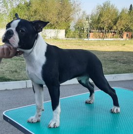 IMG-20220514-WA0019.jpg (159.67 КБ, Просмотров: 9159) IMG-20220514-WA0019.jpg