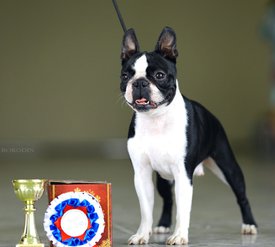 IMG-20220220-WA0033.jpg (137.51 КБ, Просмотров: 9157) IMG-20220220-WA0033.jpg