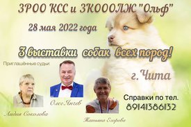 изображение_viber_2022-05-05_21-28-47-747.jpg (105.46 КБ, Просмотров: 11768) изображение_viber_2022-05-05_21-28-47-747.jpg
