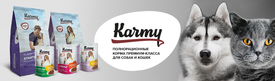 871х255.png (294.41 КБ, Просмотров: 11768) 871х255.png