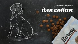 изображение_viber_2022-05-20_18-07-29-889.jpg (89.42 КБ, Просмотров: 11768) изображение_viber_2022-05-20_18-07-29-889.jpg