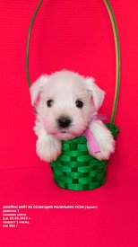 mnJnie4BG8xs_EVxc8ZynNvDBO5wRErPtmkx8PB-kKgtcboNWVA2A1PLNWktewUksBR4SkAc0Uz-Fu9r9RVe3Udn.jpg (198.47 КБ, Просмотров: 9038) mnJnie4BG8xs_EVxc8ZynNvDBO5wRErPtmkx8PB-kKgtcboNWVA2A1PLNWktewUksBR4SkAc0Uz-Fu9r9RVe3Udn.jpg