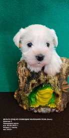 FTq0eCwz5LWJ3_s2dmeQlEAd5ge9FH_A5y9h6zIl4pnkWmM5GCfBj_3pPIpKoRi6hup0B-oWWWlYc91_E5QoButR.jpg (269.5 КБ, Просмотров: 9129) FTq0eCwz5LWJ3_s2dmeQlEAd5ge9FH_A5y9h6zIl4pnkWmM5GCfBj_3pPIpKoRi6hup0B-oWWWlYc91_E5QoButR.jpg