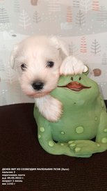 PrLgrKMTkRwQ6J5Q0TRuwYqqVx2u2vWCzIcScmp8I5EK7f2GhoPIgPkJxii68xfEwWVYW43a5__lqbgN5pAsJfix.jpg (223.66 КБ, Просмотров: 9129) PrLgrKMTkRwQ6J5Q0TRuwYqqVx2u2vWCzIcScmp8I5EK7f2GhoPIgPkJxii68xfEwWVYW43a5__lqbgN5pAsJfix.jpg