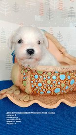 xnISRCQG_QKDB8TJMq_p5rBPra90G6ln5iH9sl5ivjWvqSABH1nTd3cVMe6bcv-Ogub8IAB3CHiCOPYy1GdFtAXi.jpg (314.09 КБ, Просмотров: 9129) xnISRCQG_QKDB8TJMq_p5rBPra90G6ln5iH9sl5ivjWvqSABH1nTd3cVMe6bcv-Ogub8IAB3CHiCOPYy1GdFtAXi.jpg