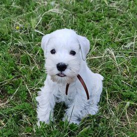 wy3izaJmX-8.jpg (603.88 КБ, Просмотров: 8832) wy3izaJmX-8.jpg