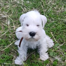 2.jpg (480.44 КБ, Просмотров: 8923) 2.jpg