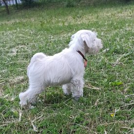 3.jpg (728.83 КБ, Просмотров: 8923) 3.jpg