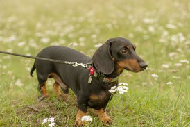 vystavka-70.jpg (146.5 КБ, Просмотров: 1532) vystavka-70.jpg