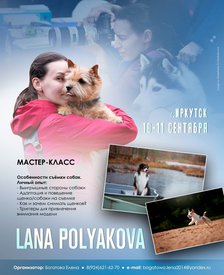 IMG_20220805_121119_751-1.jpg (112.59 КБ, Просмотров: 26806) IMG_20220805_121119_751-1.jpg