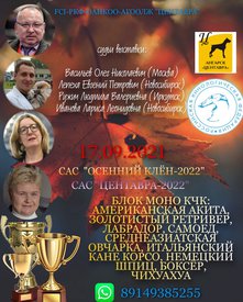 реклама 22.jpg (421.01 КБ, Просмотров: 7344) реклама 22.jpg