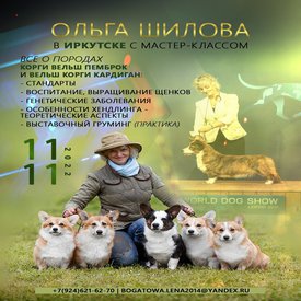 65-3-1-3.jpg (245.25 КБ, Просмотров: 22056) 65-3-1-3.jpg