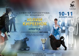 IMG_20221027_215407_386.jpg (132.01 КБ, Просмотров: 21254) IMG_20221027_215407_386.jpg