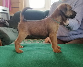 З-Ф.jpg (408.47 КБ, Просмотров: 11957) З-Ф.jpg