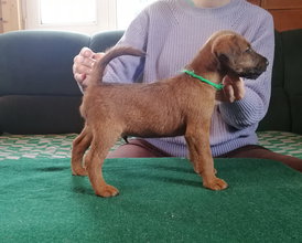 Зелёный8.jpg (428.03 КБ, Просмотров: 11573) Зелёный8.jpg