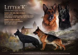 реклама зара чибо.jpg (197.91 КБ, Просмотров: 8477) реклама зара чибо.jpg