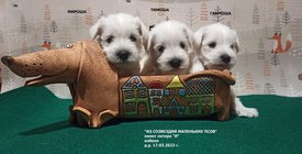 imgonline-com-ua-Resize-5LQHPHE8tIrgPz.jpg (216.84 КБ, Просмотров: 10728) imgonline-com-ua-Resize-5LQHPHE8tIrgPz.jpg