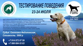 IMG-20240712-WA0010.jpg (220.25 КБ, Просмотров: 4212) IMG-20240712-WA0010.jpg