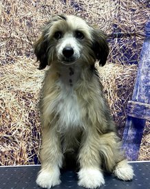 Screenshot_20241021_160614_com.huawei.photos_edit_179657332749746.jpg (685.6 КБ, Просмотров: 3638) Screenshot_20241021_160614_com.huawei.photos_edit_179657332749746.jpg