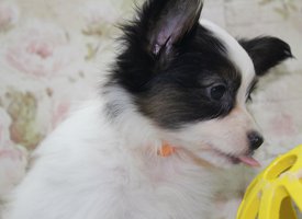 2.2.jpg (110.8 КБ, Просмотров: 1856) 2.2.jpg