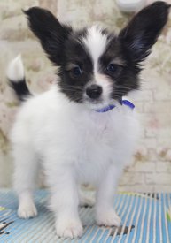 3.3.jpg (163.86 КБ, Просмотров: 1856) 3.3.jpg