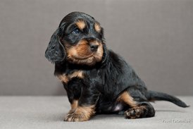 DSC_0023.jpg (130.8 КБ, Просмотров: 3130) DSC_0023.jpg