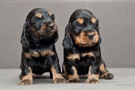 DSC_0039.jpg (154.62 КБ, Просмотров: 3130) DSC_0039.jpg