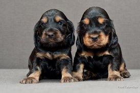 DSC_0042.jpg (163.24 КБ, Просмотров: 3111) DSC_0042.jpg