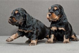 DSC_0033.jpg (158.44 КБ, Просмотров: 3130) DSC_0033.jpg