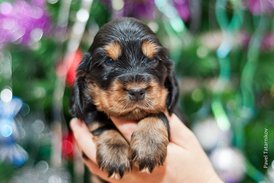 DSC_0138.jpg (172.03 КБ, Просмотров: 3130) DSC_0138.jpg