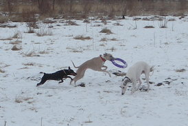 getIапвававmage.jpeg (136.21 КБ, Просмотров: 2184) getIапвававmage.jpeg