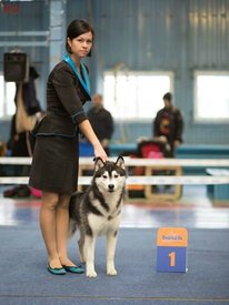 ea07c94099e8.jpg (29.14 КБ, Просмотров: 4649) ea07c94099e8.jpg