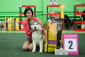 d6167f8125bc.jpg (83.32 КБ, Просмотров: 4644) d6167f8125bc.jpg