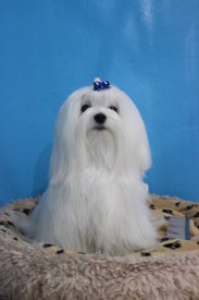 rkO3E.jpg (15.62 КБ, Просмотров: 1312) rkO3E.jpg