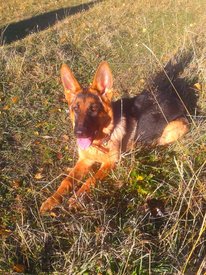 2013-09-27 18.03.00.jpg (775.67 КБ, Просмотров: 4818) 2013-09-27 18.03.00.jpg