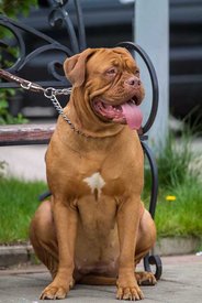 IMG_6893 копия.jpg (65.67 КБ, Просмотров: 1508) IMG_6893 копия.jpg