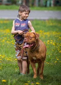 IMG_7287 копия.jpg (74.86 КБ, Просмотров: 1569) IMG_7287 копия.jpg